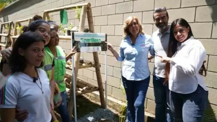 Huerta escolar ‘Mi Cajita de Té’, en la comuna 6, espacio que florece con los Gestores Ambientales de Gobernación